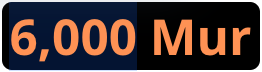 6000